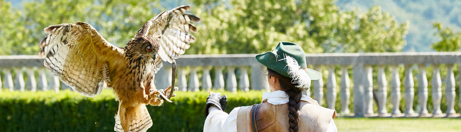 NÖ Falknerei- und Greifvogelzentrum (Lower Austrian Falconry and Bird of Prey  Centre)