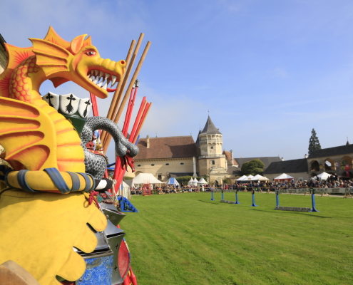 Ritterturnier Rosenburg 2024